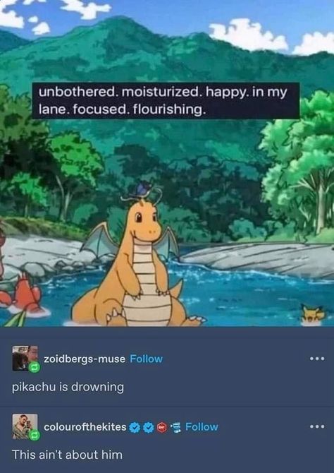 Pokemon Tumblr, Cursed Pictures, Gotta Catch Them All, Pokemon Memes, Pokemon Funny, All Pokemon, Pokemon Fan Art, Catch Em All, Pokemon Pictures