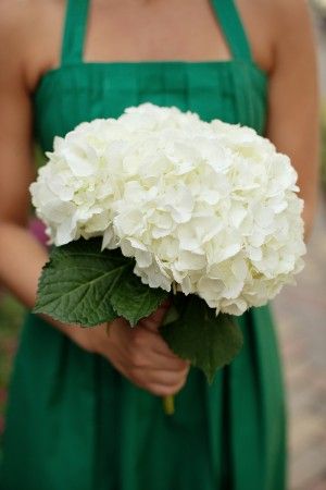 A single stem of hydrangeas White And Emerald Green Wedding, Peaceful Cottage, Simple Bridesmaid Bouquets, White Hydrangea Bouquet, Emerald Green Bridesmaid Dresses, Emerald Green Wedding, Emerald Green Weddings, Hydrangea Bouquet, All White Wedding