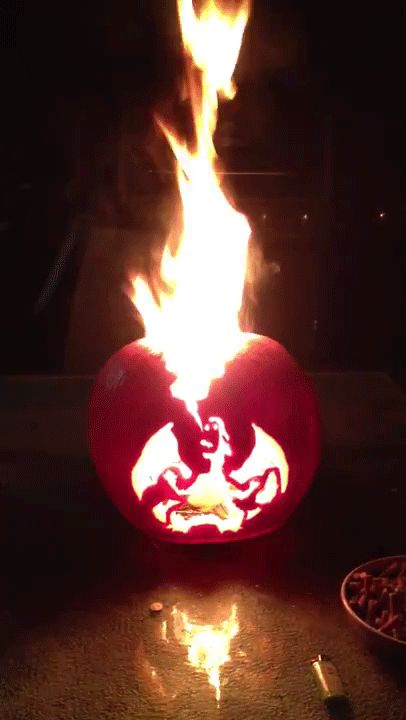 Flaming charizard pumpkin Anime Jack O Lantern, Charizard Pumpkin, Lantern Video, Nintendo Nostalgia, Pokemon Pumpkin, Halloween Pumpkin Carving Stencils, Gameboy Games, Silver Shamrock, Pokemon Craft