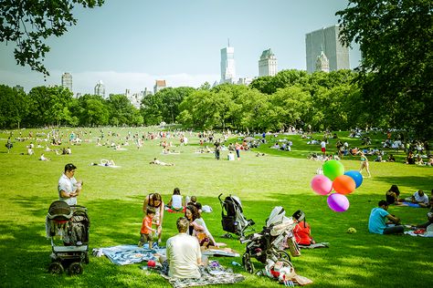 Upper East Side with Kids: Top 50 Things to Do, Eat, and See Central Park Picnic, Summer In Nyc, Family Park, Visit New York City, Family Friendly Hotels, Nyc Park, Picnic Spot, Visit New York, Family Getaways