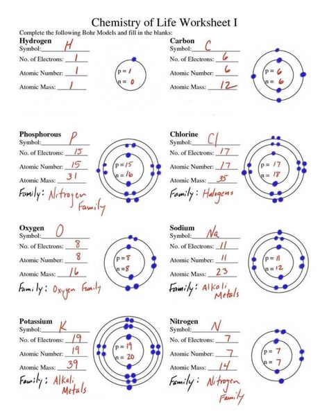 Bohr Model, Atom Model, Name Symbols, Ap Chemistry, Diagram Design Ideas, Atomic Number, Diagram Design, Educational Worksheets, Homeschool Science