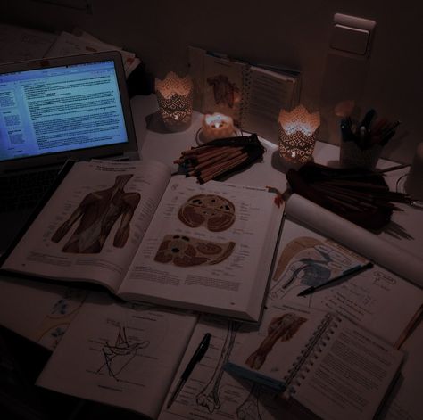 Dark Academia Study, Academic Aesthetic, Aesthetic Doctor, Nurse Aesthetic, Dream Jobs, Med School Motivation, Nursing Books, Aesthetic Dark Academia, One Percent