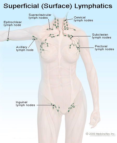 Picture of Superficial Lymph Nodes in the Body Feng Shui For Love, Lymph Drainage Massage, K Tape, Lymph Glands, Lymph Massage, Lymph System, Lymph Drainage, Organic Beauty Products, Face Reading