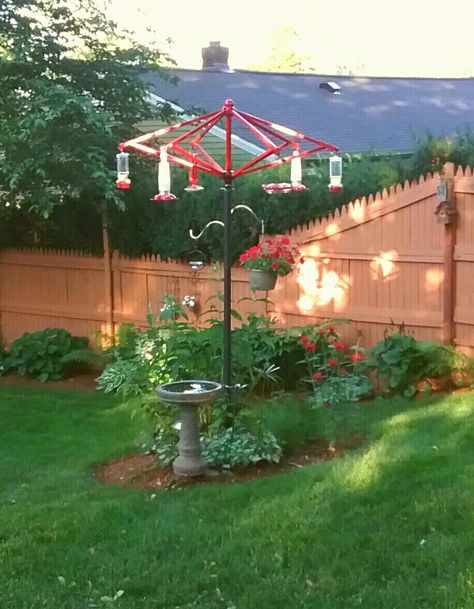 Repurposed umbrella frame is now a feeding station for hummingbirds Hummingbird Yard Ideas, Umbrella Frame Repurposed, Hummingbird Feeding Station, Hummingbird Station, Umbrella Upcycling, Repurposed Umbrella, Bird Feeder Station, Bird Feeder Stands, Backyard Birds Sanctuary