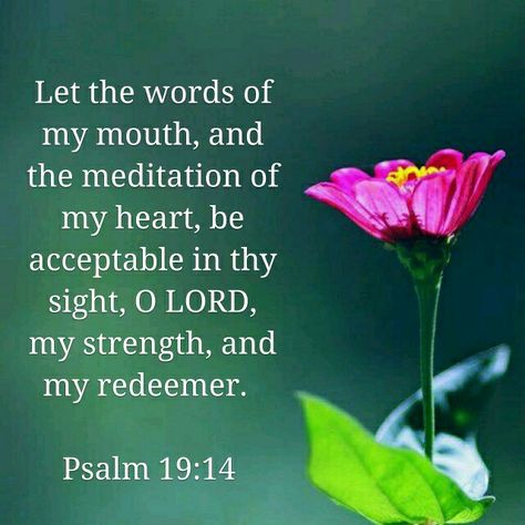 Psalm 19:14 KJV Psalms 19, Psalm 19, Book Of Psalms, Beautiful Bible Verses, Kjv Bible, Biblical Verses, Faith Prayer, Bible Scripture, My Mouth