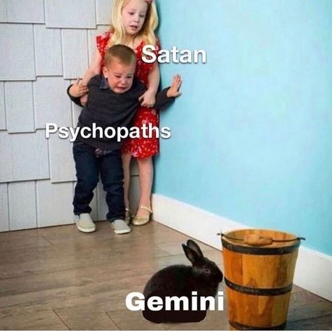 gemini memes♊️ on Instagram: "Why are we like this🤣🤣??? Follow @geminissue for more Gemini issue!♊️" Virgo Libra Cusp, Virgo Memes, Virgo Art, Horoscope Memes, Virgo Traits, Virgo Love, Virgo Quotes, Zodiac Signs Virgo, Virgo Sign