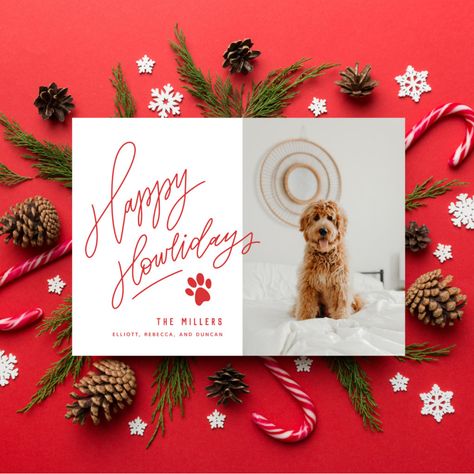 Pet Holiday Cards, Dog Holiday Cards, Seasons Greetings Card, Modern Hand Lettering, Dog Christmas Card, Christmas Pregnancy Announcement, Watercolor Christmas Cards, Dog Photo, Christmas Invitations