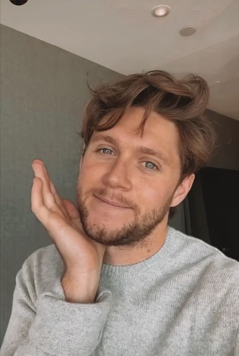 Niall Horan Baby, Gambar One Direction, Irish Princess, Irish Boys, One Direction Harry, One Direction Humor, One Direction Videos, James Horan, One Direction Pictures