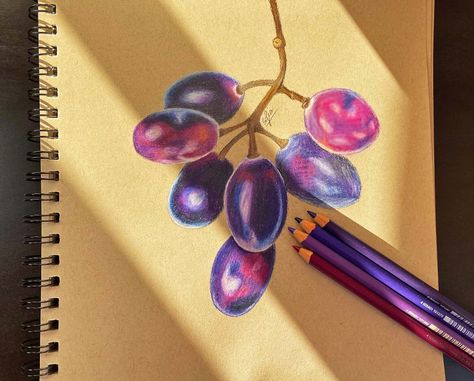 This is a grape drawing that i made a few days ago ! I used the toned tan brown paper ans the faber-castell polychromos colored pencils Tan Paper Drawing, Drawing On Brown Paper, Vegetables Drawing, Grape Drawing, Pencil Colours, Vegetable Drawing, Color Pencil Sketch, Colour Pencil, Drawing Inspo