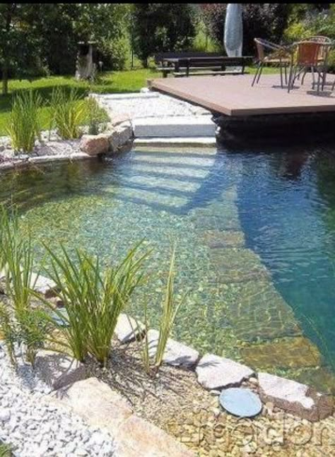 Garden Pool Design, Swimming Pool Pond, Natural Swimming Ponds, Garden Pond Design, Swimming Pond, Natural Pond, Pond Landscaping, Natural Swimming Pools, Natural Swimming Pool