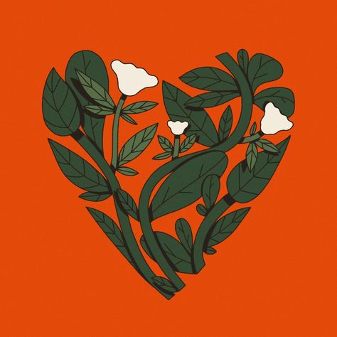 What is your heart made of? ❤️ . . . #illustration #flowerillustration #flowerdrawing #flower #drawing #editorialillustration #digitalillustration Plant Poster Design, Flower Illustration Simple, Heart Illustration Art, Daisy Illustration, Illustration Plants, Orchid Illustration, Flower Illustrations, Garden Illustration, Heart Illustration