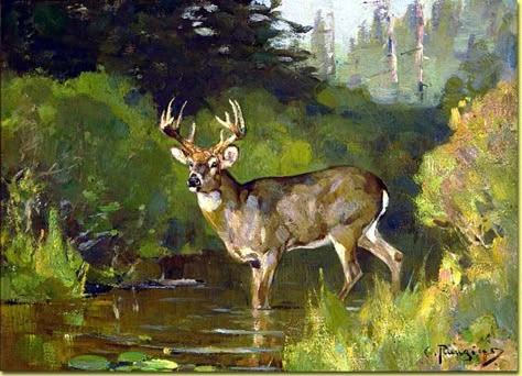 Contemporary Wildlife Art, Elk Art, Elk Pictures, Deer Artwork, Jackson Wyoming, Deer Pictures, Bull Elk, Hunting Art, Deer Painting