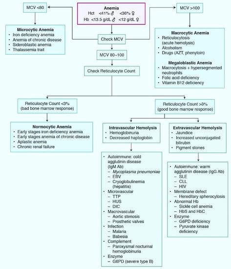 #med#medicalmnemonics #medicine#medical#mbbs#usmle#medstudent #medstudentlife #medschool #usmlestep1 #doctor #nurse #dentist What Is Nursing, Medical Lab Technician, Np School, Med Lab, Medical Mnemonics, Student Info, Medicine Notes, Medical Laboratory Science, Emergency Dentist