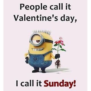 People Call It Valentine's Day, I Call It Sunday! love love quotes valentines day valentine's day vday quotes valentines day quotes valentines day quotes and sayings valentines day minion quotes quotes for valentines day valentines image quotes valentine's day minion quotes Minion Friday, Minions Cute, Minion Rock, Minion Photos, Quotes Valentines Day, Minions Images, Minion Cupcakes, Minion Banana, Minion Movie