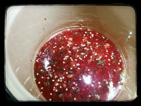 Muscadine Pepper Jelly Recipe, Muscadine Recipes, Muscadine Recipe, Muscadine Jelly, Jalapeno Jelly Recipes, Hot Pepper Recipes, Pepper Jelly Recipes, Banana Walnut Bread, Hot Pepper Jelly