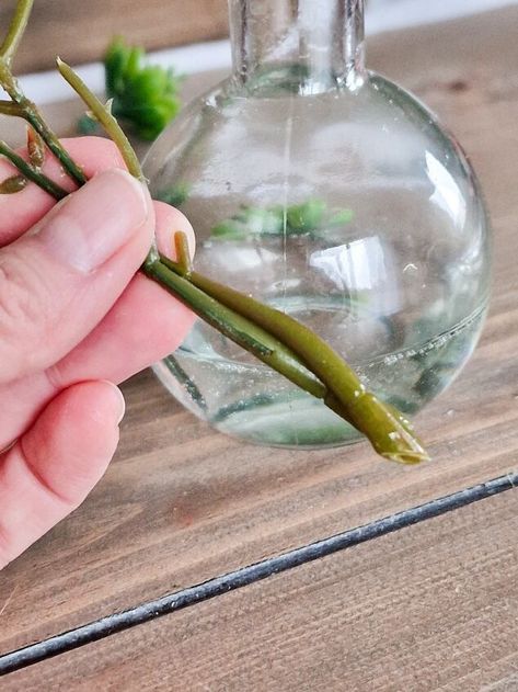 Fake Water In Vase With Glue, Faux Water In Vase Diy, Clear Glue In Vase With Flowers, Fake Water In Vase, Clear Glue Crafts, Sitting In Water, Fake Flowers Diy, Plant In Water, Faux Plants Decor