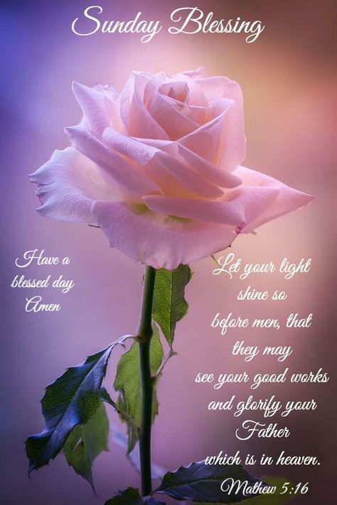 Sunday Blessing Pictures, Photos, and Images for Facebook, Tumblr, Pinterest, and Twitter Sunday Blessings Inspiration, Sunday Pics, Blessed Sunday Quotes, Blessed Sunday Morning, Weekly Blessings, Week Blessings, Sunday Prayer, Sunday Morning Quotes, Sunday Greetings