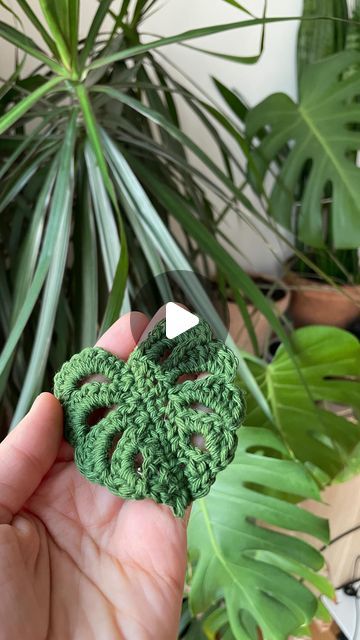 Crochet Monstera, Flower Crochet, Crochet Flower Patterns, Create Something, Crochet Flower, Crochet Doilies, Crochet Flowers, Doilies, Stay Tuned