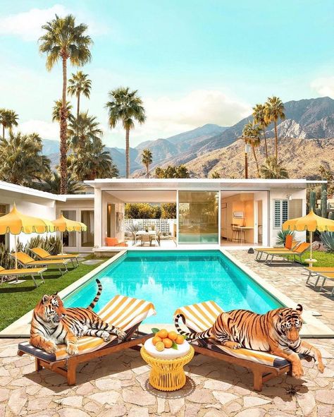 Paul Fuentes’s Instagram photo: “Tigers Glamour 🐅 A little tribute to the iconic Poolside Glamour 🌞 • • #tigers #artprint #poolside #poolsideglamour #palmsprings…” Slim Aarons Poolside, Paul Fuentes, Poolside Glamour, Glamour Art, Racquet Club, Tiger Canvas, Summer Club, Club Aesthetic, Jockey Club