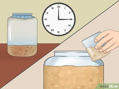 Bread Starter, Carbon Dioxide, Sourdough Starter, Sourdough Bread, How To Grow, Yeast, To Grow, Bread, Baking