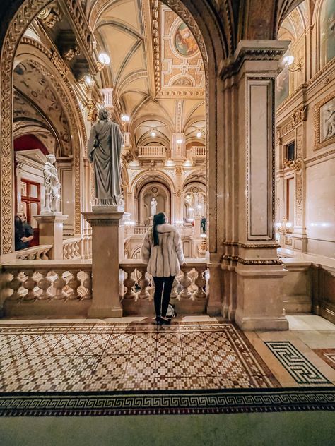 Vienna Instagram, Green Dome, Vienna Travel, Vienna State Opera, Schönbrunn Palace, Ceiling Murals, Best Shots, Popular Photography, Butterfly House