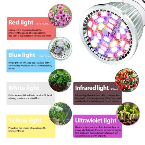 Grow light, LED grow plant light Bulb, UTTERBEST grow lights Full Spectrum Grow lamp for Hydroponic Plants, Succulent plant, Flowering Plant Vegetables, Greenhouse Organic, Pack of 1(28W E26) - - AmazonSmile Cheap Grow Lights, Grow Lamps, Grow Lights For Plants, Hydroponic Plants, Led Grow, Bathroom Plants, Growing Plants Indoors, Plant Diseases, Plant Lighting