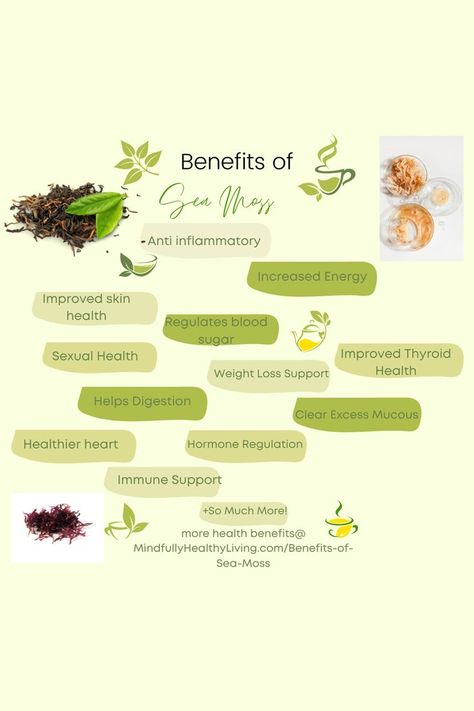 light green background infographic with staggering and various colors of darker green in bubbles that reads at the top: Benefits of Sea Moss and each bubble reads: Anti-inflammatory, Increased Energy, Improved Skin Health, Regulates Blood Sugar, Improved Thyroid Health, Sexual health, weight loss support, clear excess mucous, helps digestion, hormone regulation, healthier heart, immune support, + so much more! Bladderwrack Benefits, Burdock Root Benefits, Benefits Of Sea Moss, Irish Sea Moss, Medical Herbs, Healthy Facts, Burdock Root, Help Digestion, Improve Heart Health