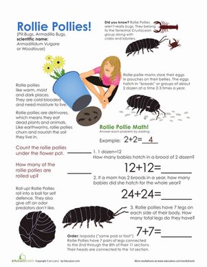 Learn all about rollie pollies, a small but unique creature that always fascinates little kids. There's even a bit of rollie pollie match to boot. School Greenhouse, Homeschool Goals, Preschool Bugs, Pill Bugs, Rollie Pollie, 3rd Grade Worksheets, Third Grade Worksheets, Crab Crafts, Stem Activities Preschool