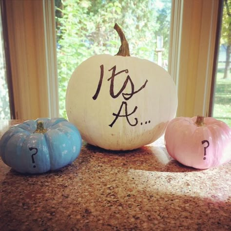 Fun idea for a fall gender reveal party!  #GenderReveal #GenderRevealParty #GenderRevealIdeas White Pumpkin Gender Reveal, Car Related Gender Reveal, Fall Baby Reveal Ideas, Gender Reveal Fall Theme Ideas, Pumpkin Theme Gender Reveal, Gender Reveal Pumpkin Theme, Fall Themed Gender Reveal Party Ideas, Pumpkin Themed Gender Reveal Party, Halloween Themed Gender Reveal Party