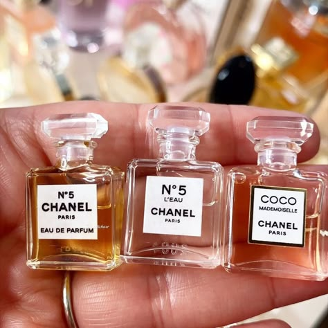 Mini Chanel Perfume, Chanel Perfume Collection, Mini Perfume Aesthetic, Mini Perfume Bottles, Organization Perfume, Perfume Branding, Luxury Perfume Women, Perfume Miss Dior, Miss Dior Perfume