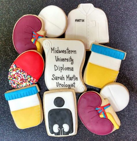 Mary Gladkowski :  Urologist /Kidney decorated cookies  for a med school graduate!   Awesome! Medical Cookies, Nurse Cookies, Cookie Display, Gender Party, Sugar Cookie Designs, Home Bakery, Med School, Cookie Art, Icing Cookies