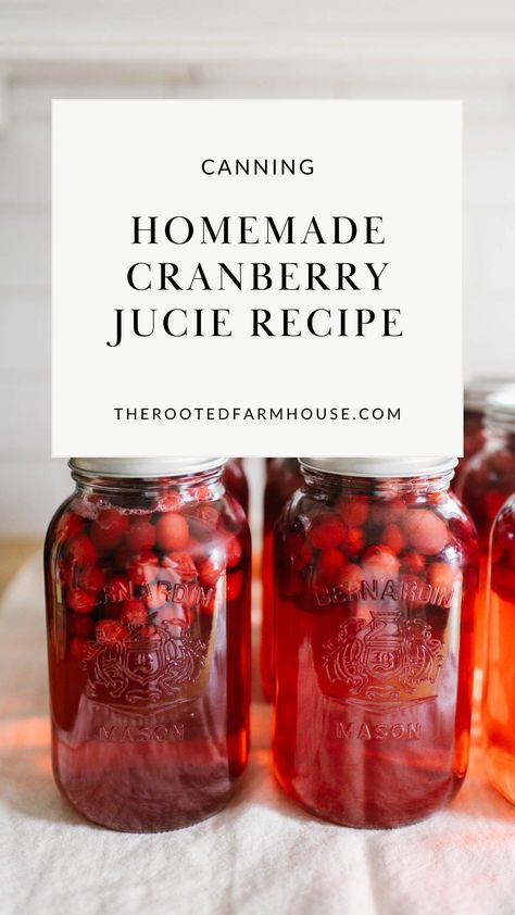 Apple Cranberry Juice, Canning Cherry Juice, How To Can Cranberry Juice, Cranberry Apple Juice Recipes, Make Cranberry Juice, Cranberry Juice Canning, Canning Juice Concentrate, Home Made Cranberry Juice, Cranberry Juice Canning Recipe