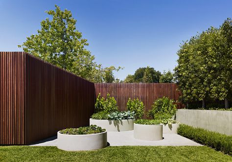 Sutherland Road - Peter Clarke Photography Vege Garden, Home Garden Ideas, Concrete Pots, Veg Garden, Tall Trees, Courtyard Garden, Veggie Garden, Back Garden, Edible Garden