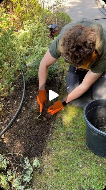 Alexander hayden on Instagram: "Beautiful day for gardening . Satisfying lawn edging, not the best soil but here we go .  Tools , half moon edger, razor hoe (Kent and Stowe) edging shears   #beautiful #sunshine #gardening #transformation #satisfying #spring #howto #tools #amazing #tips #soil" Wooden Garden Edging, Garden Edger, Edging Tools, Lawn Edger, Garden Calendar, Beautiful Sunshine, Lawn Edging, Garden Edging, Lawn Care