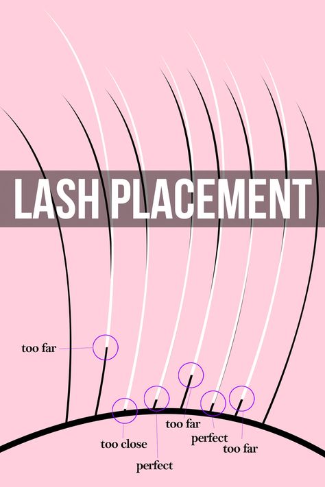 lash placement for professional eyelash extensions Lash Artist Beginner, Eyelash Extension Set Up, Lash Extensions Prices For Beginners, Lash Extensions Placement, Lash Application Tips, Lash For Beginners, Eyelash Extensions Application, Beginner Eyelash Extensions, Lash Extensions Process