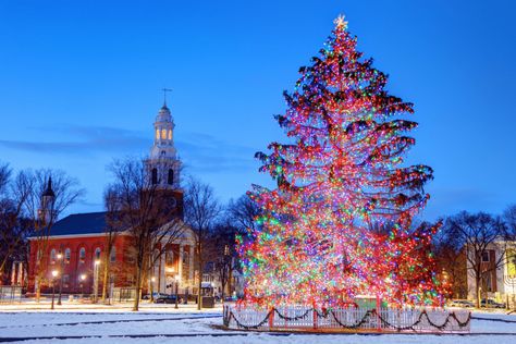 21 Christmas things to do in Connecticut – Travels With The Crew Mystic Connecticut Christmas, Essex Connecticut, Milford Connecticut, Christmas In Connecticut, Mystic Connecticut, New England Christmas, Christmas Things To Do, Connecticut Travel, Christmas Vacation