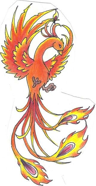 Phoenix Drawing, Phoenix Tail, Phoenix Tattoo, Drawing Art, Tattoos And Piercings, Tattoo Design, Phoenix, Piercings, Tattoo Designs