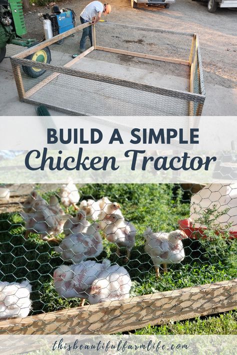 Portable Chicken Run Diy, Mobile Chicken Coop Diy Tractors, Chicken Tractor For Meat Birds, Chicken Tractor Diy, Mobile Chicken Run, Chicken Tractor Ideas, Portable Chicken Run, Raising Meat Chickens, Chicken Processing