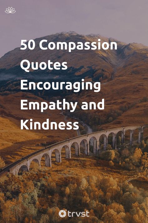 Understand Others Quotes, Compassion Quotes Acts Of Kindness, Words Of Compassion, Quotes About Compassion And Empathy, Accepting Others Quotes, Quotes On Kindness And Compassion, Quotes On Compassion For Others, Kindness And Compassion Quotes, Helping Others Quotes Acts Of Kindness