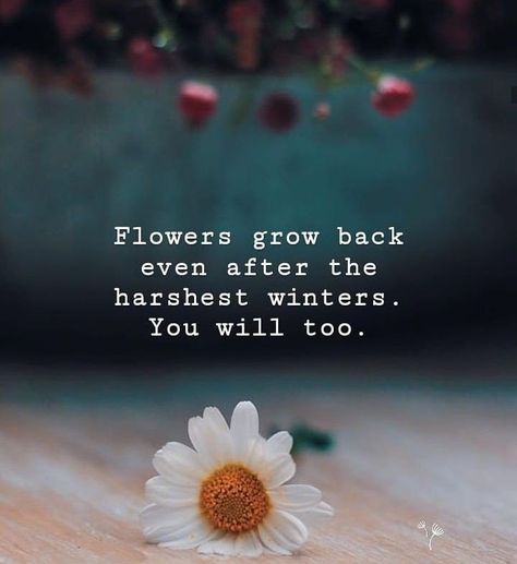 Short Powerful Quotes, Growing Quotes, Finding Love Quotes, Floral Quotes, Winter Quotes, Inspiration Quote, Short Inspirational Quotes, Positive Quotes Motivation, Flower Quotes