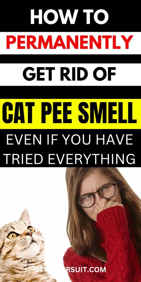 How to Get Rid of Cat Pee Smell: Step By Step Guide Cat Pee Smell Removal, Cat Liter, Cat Remedies, Litter Box Smell, Cat Urine Remover, Cat Pee Smell, Pee Stains, Smell Remover, Cat Urine Smells