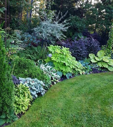 Garden Scapes, Shade Landscaping, Evergreen Landscape, Small Backyards, Garden Shade, Shade Garden Design, Shade Gardening, Ferns Garden, Shade Garden Plants