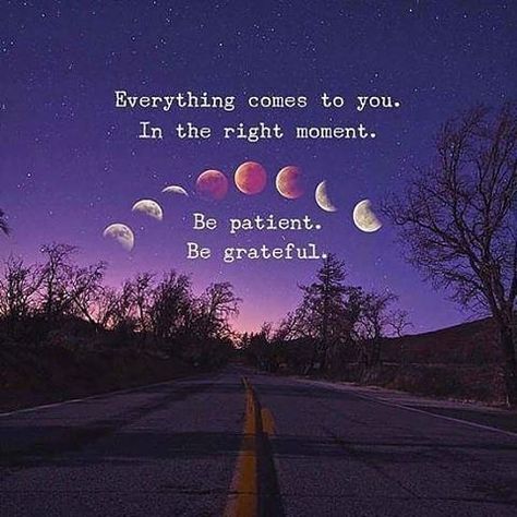 That's what I'm told. Good Night Everyone ~ have a peaceful rest. #grateful #patience #timing #goodnight #peaceful #rest #instagood #instadaily #instaquote #me #key #turningofthetide 🌊🌊🌊 Goodnight Quotes Inspirational, Good Night Qoutes, Good Night Prayer Quotes, Patience Quotes, Goodnight Quotes, Good Night Love Images, Good Night Prayer, Good Night Blessings, Night Messages