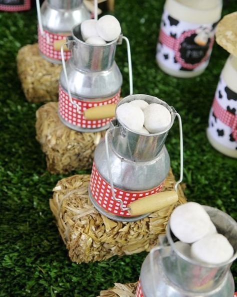 Diy Farm Party, Farm Birthday Decor, Barnyard Party Favors, Farmyard Party, Diy Unicorn Party, Barnyard Theme, Barnyard Birthday Party, Barnyard Party, Bird Party