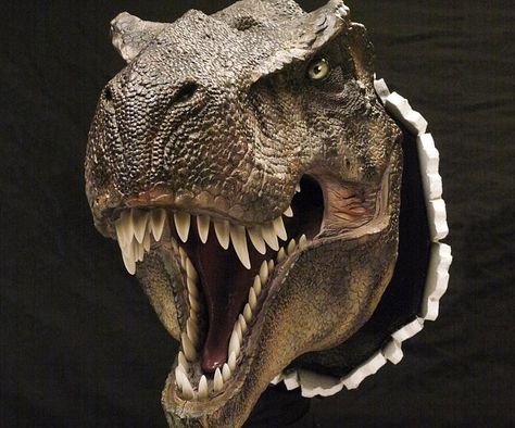 Realistic Wall Bursting T-Rex Zoo Pals, Wood Sculpture Art, Dinosaur Head, Dino Art, Sculpture Head, Dinosaur Images, Craft To Make, Toddler Boys Room, 2023 Halloween