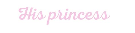 His Princess Banner Discord, Princess Discord Banner, Princess Banner Discord, Pink Mats, Pink Discord Banner, Dr Banner, Princess Banner, His Princess, Animal Print Background