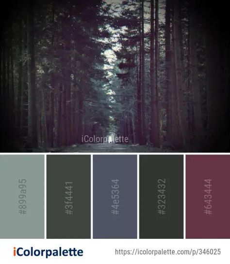 Dark Forest Palette, Enchanted Forest Color Scheme, Misty Forest Color Palette, Moody Forest Color Palette, Pine Tree Color Palette, Enchanted Forest Palette, Woodland Colour Palette, Dnd Color Palette, Enchanted Color Palette