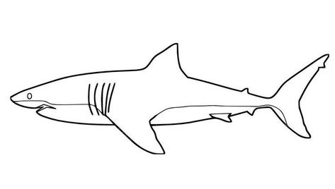 Free Printable Coloring Book, Hai Tattoo, Shark Drawing, Shark Coloring Pages, Shark Tattoo, Shark Logo, Waves Ocean, Shark Tattoos, Shark Party