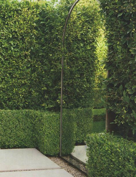 Garden Mirror Illusion Expands the Lush, Green of Amster Yard (And Yours) - Improvised Life Garden Mirror, Garden Mirrors, Outdoor Mirror, Walled Garden, Small Space Gardening, Gorgeous Gardens, Back Garden, Small Gardens, Small Backyard Landscaping