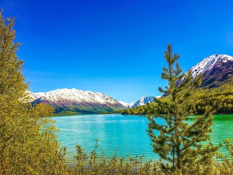 Soldotna Alaska, Alaska Salmon Fishing, Alaska Life, Alaska Summer, Alaska Pictures, Alaska Photography, Kenai Peninsula, Alaska Fishing, Alaska Vacation